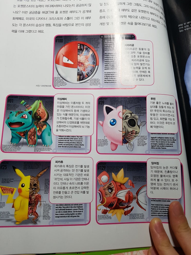  포켓몬스터 해부도 (동심파괴,혐주의)