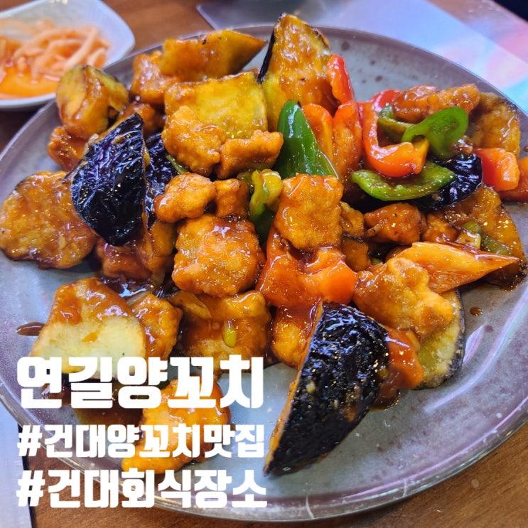  연길양꼬치 건대양꼬치 맛집 회식장소로 안성맞춤 방문후기