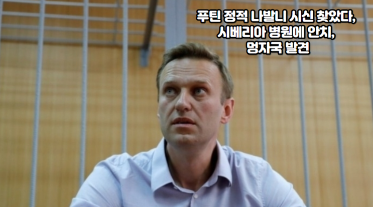 <b>푸틴</b> 정적 <b>나발니</b> 시신 찾았다, 시베리아 병원에 안치, 멍자국... 