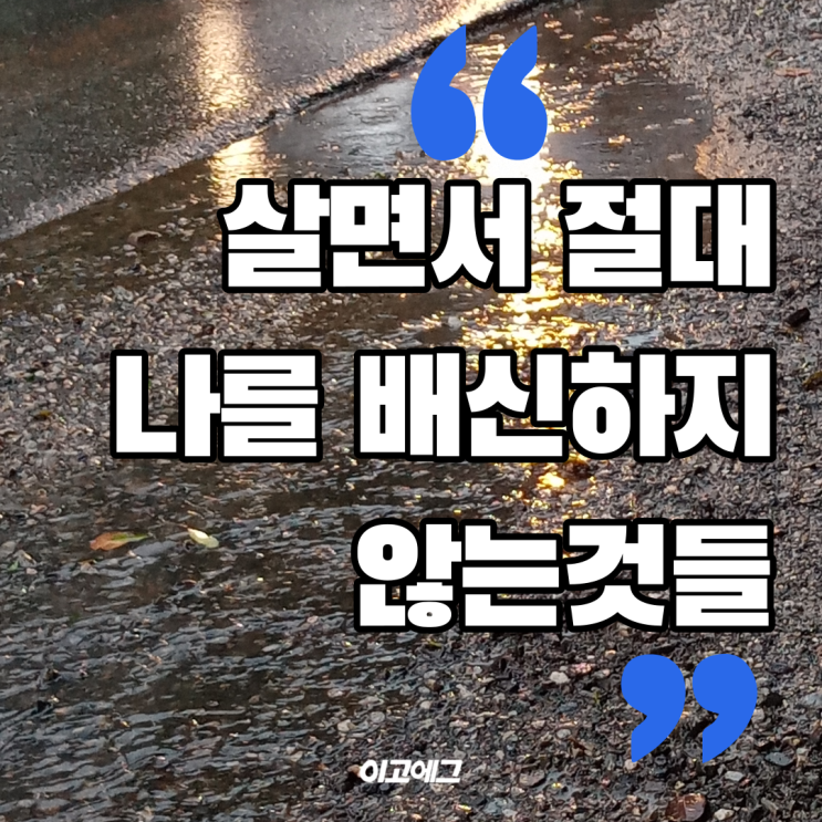  EGOEGG 이고에그 | 실패 , 성공 | 살면서 절대 나를 배신하지 않는것들