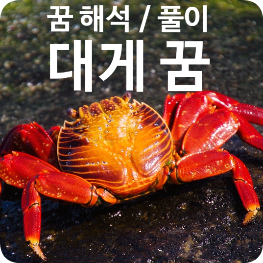 [꿈 해몽] 대게 꿈 / 대게 먹는 꿈