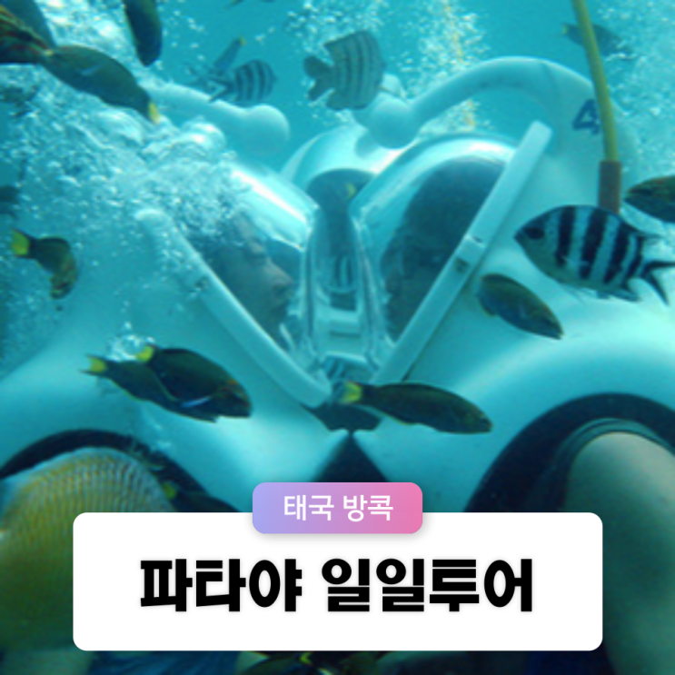  내돈내산 방콕 파타야 산호섬 일일투어 후기 (패러세일링, 씨워킹, 제트스키)