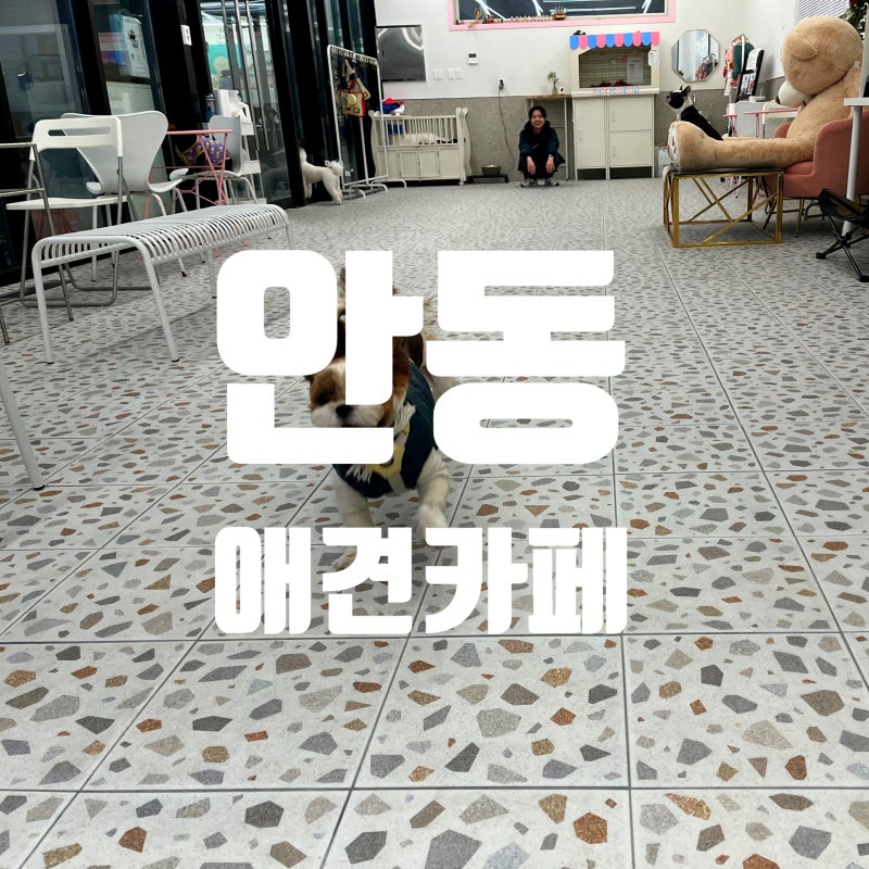 사진 5