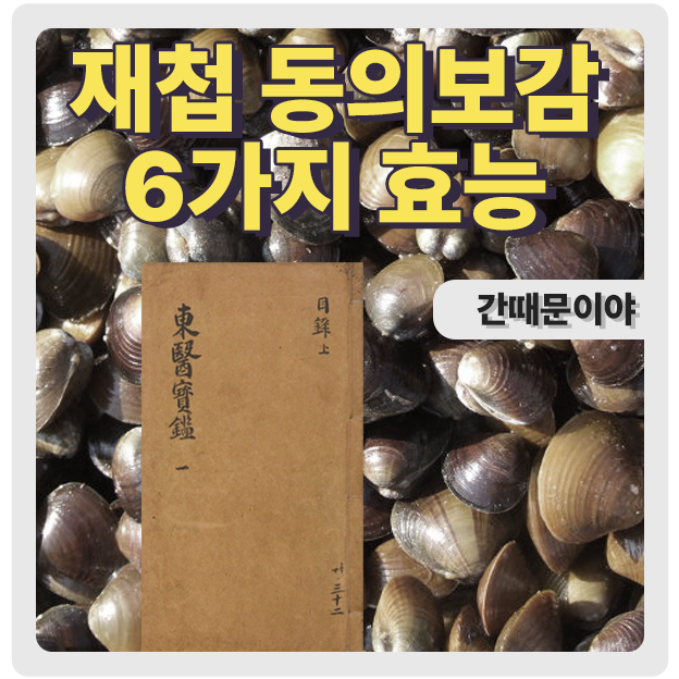  재첩 동의보감에서의 6가지 효능 철분걱정no