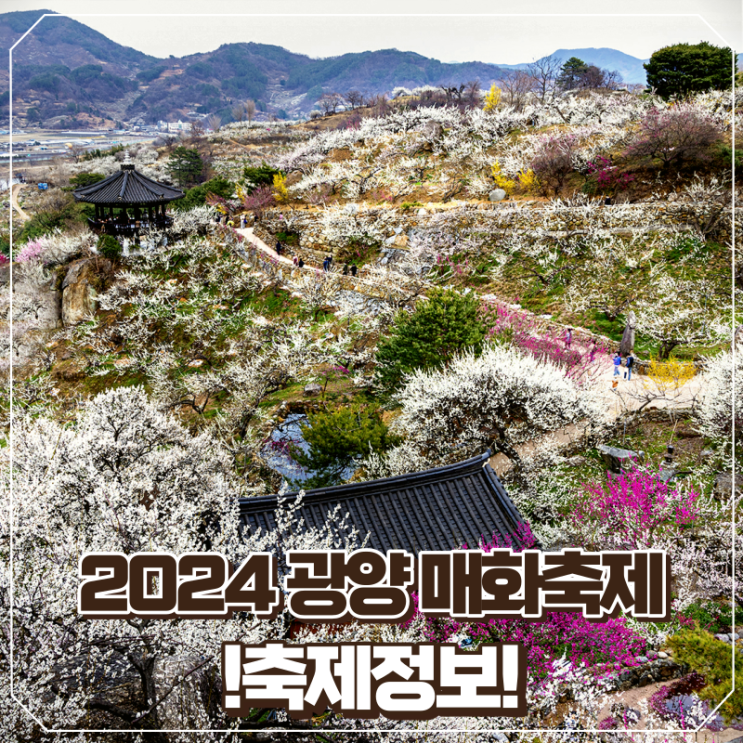  2024년 3월 광양 매화축제 기본 정보 셔틀버스 주차까지 총정리