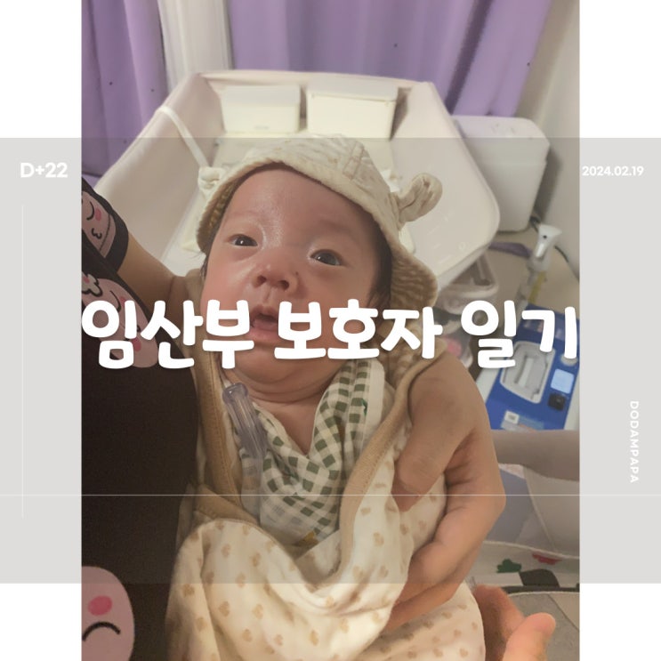 2024.02.19 임산부 보호자 일기 D+22일 2024.02.19 임산부 보호자 일기 D+22일
