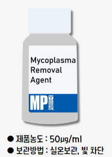 Mycoplasma Contamination 4편 : 마이코플라즈마 예방 및 제거 (Cell 에 처리)