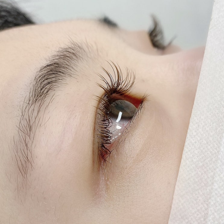  역삼속눈썹연장 릴리움뷰티스튜디오에서 다크브라운 C컬연장 후기
