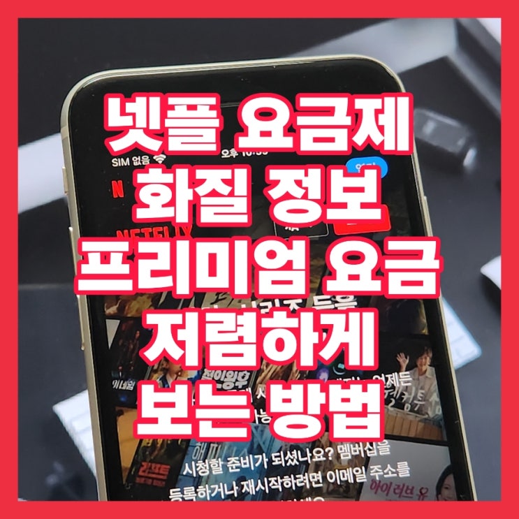  넷플릭스 프리미엄 요금제 화질 변경 및 요금 차이 분석 우회 공유 대응 방법