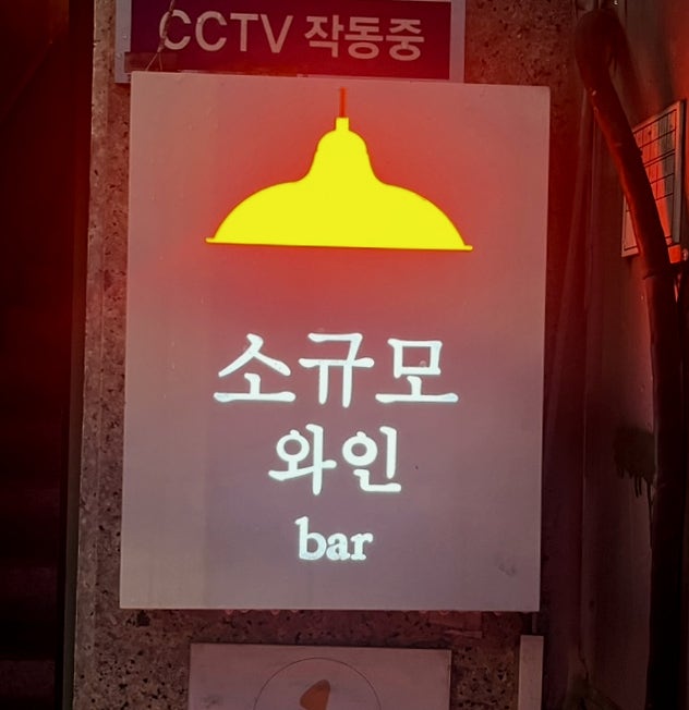  [을지로3가 와인바] 아늑한 힙지로 감성술집 데이트 소규모와인bar