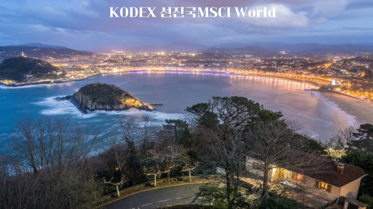 KODEX 선진국MSCI World/251350