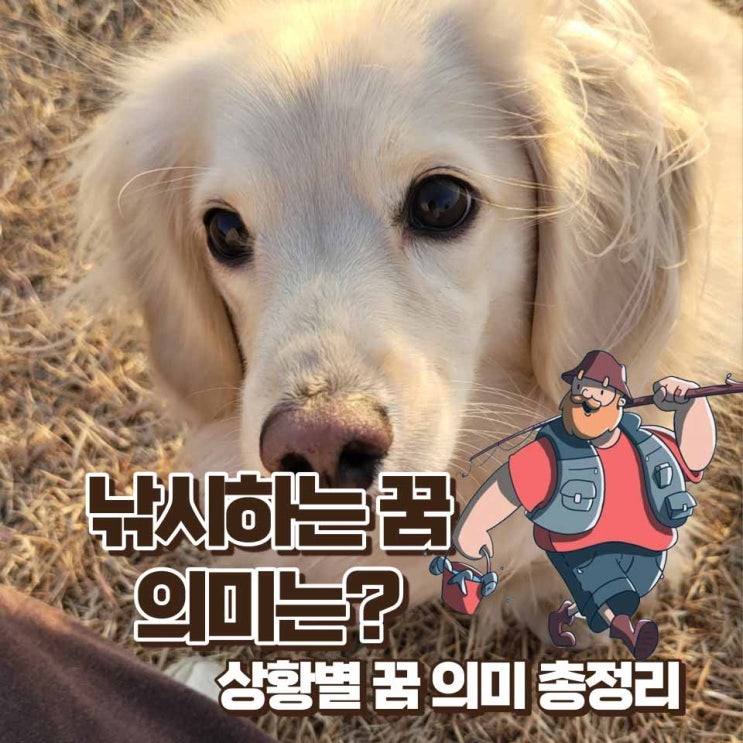 낚시 꿈 해몽 낚시하는 꿈 낚시로 물고기 잡는 꿈 큰 물고기 잡는 꿈 손으로 물고기 잡는 꿈 총정리