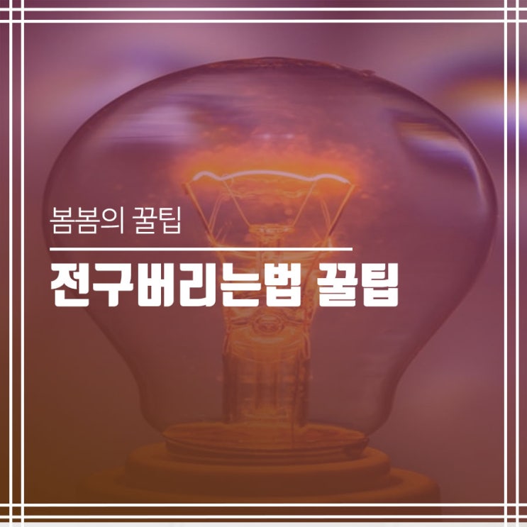  전구버리는법 알아보기