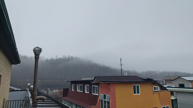  하고 싶은 건 다했던 주말