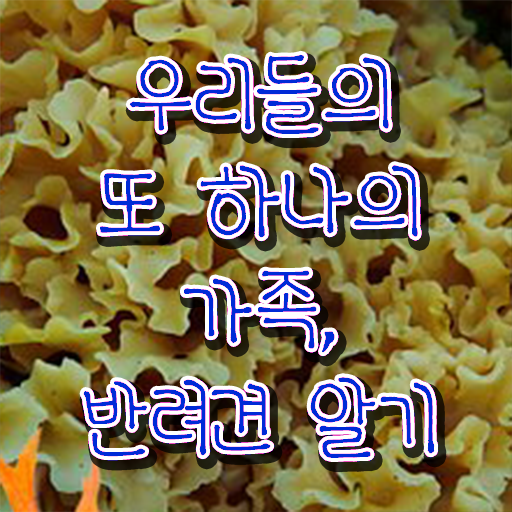  반려동물 관리사 교재 하는일 정보 가득 !