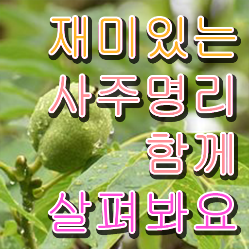 명리심리상담사 도화살 종류 합격 팁 핵심 정보 가득 드려요 !!!
