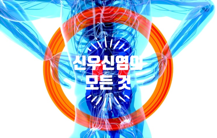  신우신염에 대해 알아보자 : 원인, 증상, 치료, 예방, 식단 관리