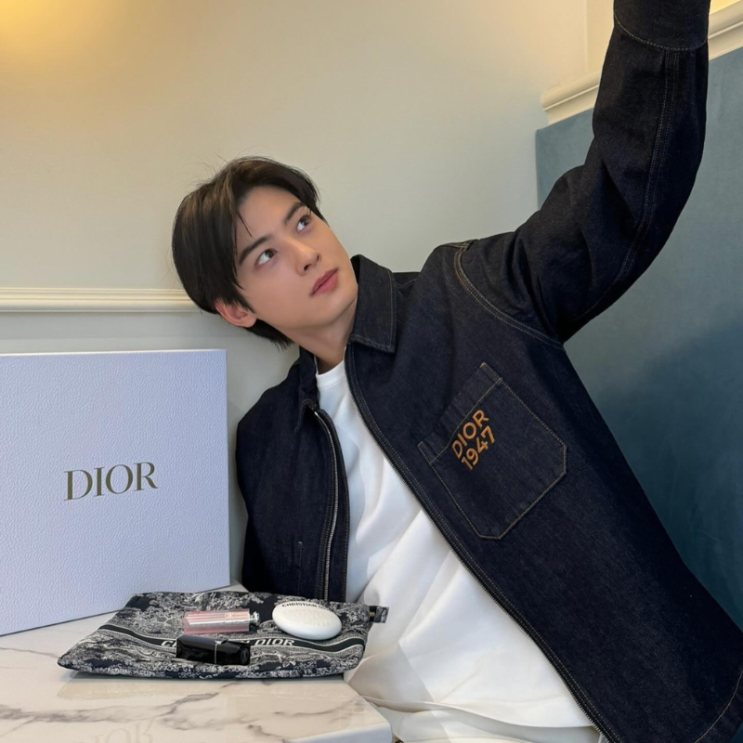  차은우 디올 신상 데님 재킷 가격 정보