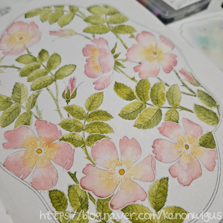 초보자도 쉽게하는 수채화북 - 꽃잎수채화하얀