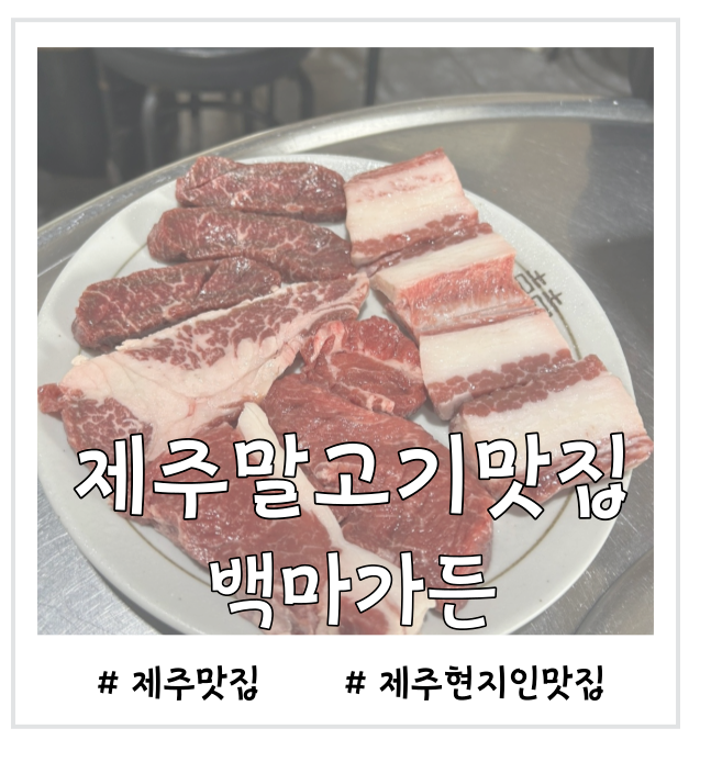  제주 현지인 추천 말고기 맛집 백마가든 인생 말고기맛집