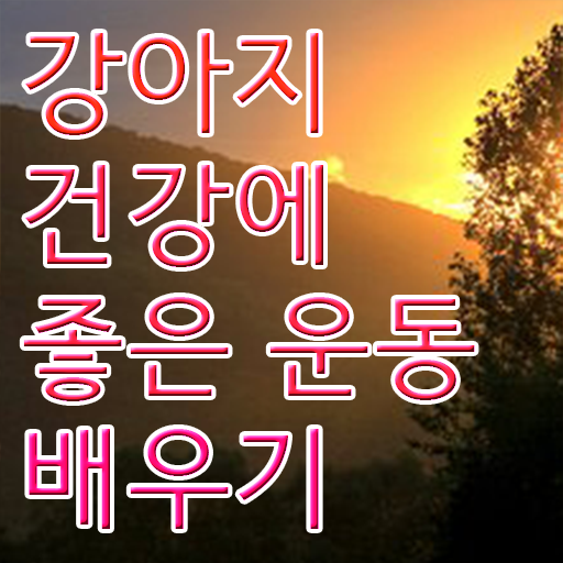  반려견운동지도사 1급 자격증 공부 완벽 정리 !!!