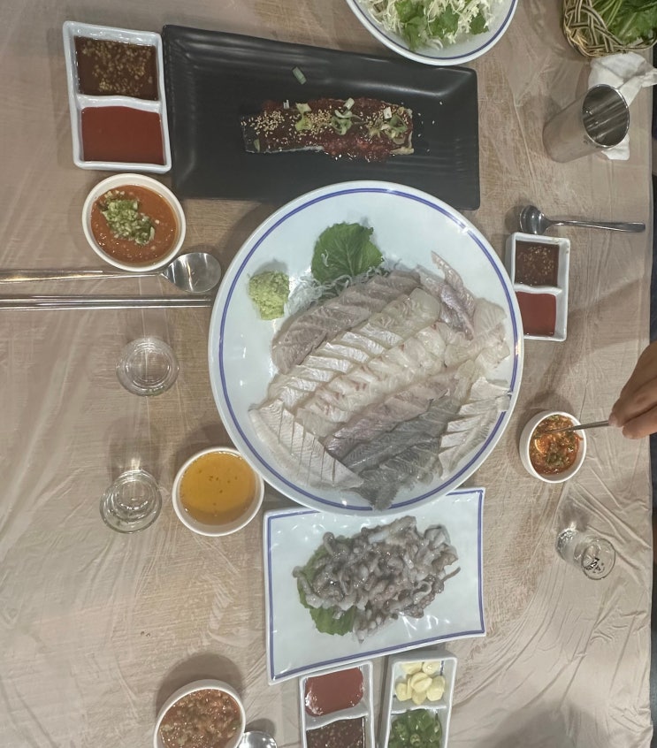  세종시 횟집 고운동 백두회수산