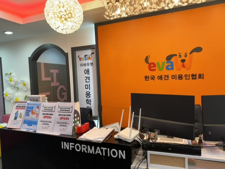  애견미용자격증학원 종류, 비용, 장학생 모집