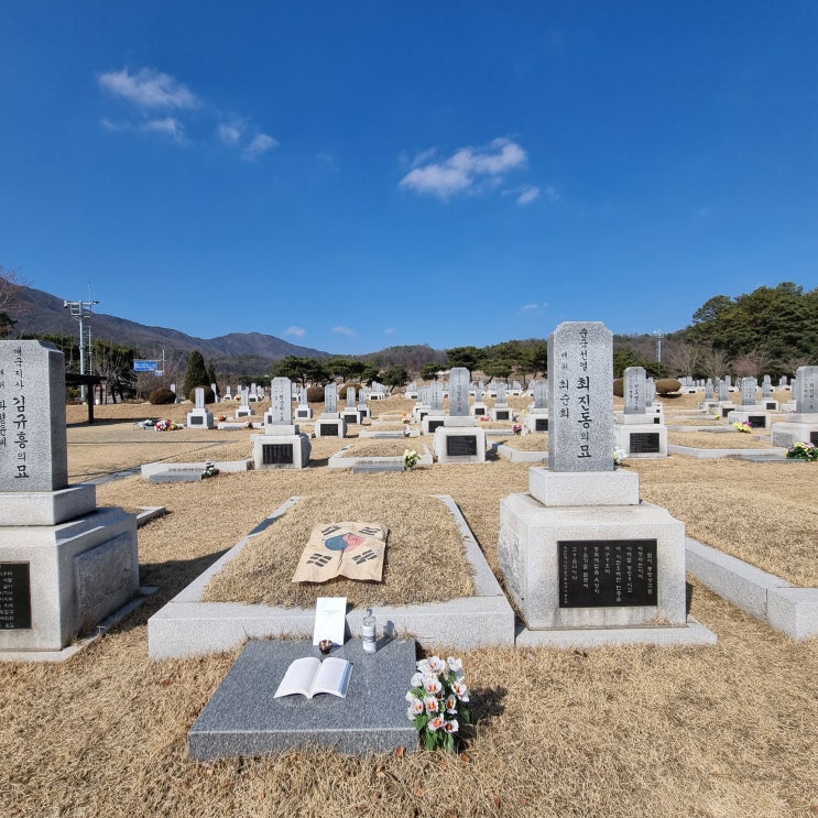 갑진년 <b>새해</b> 맞이 대전<b>현충원</b> <b>참배</b> (24.02.16)
