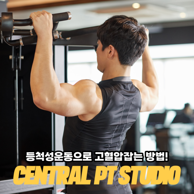 등척성운동 고혈압잡는 효과좋은 방법 송도피티에서알아볼까요