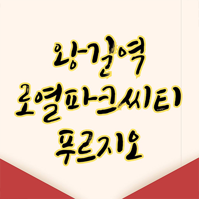  왕길역 로열파크씨티 푸르지오 대단지 신축아파트 인천 서구 왕길동 대우건설 미분양 줍줍 잔여세대 분양가