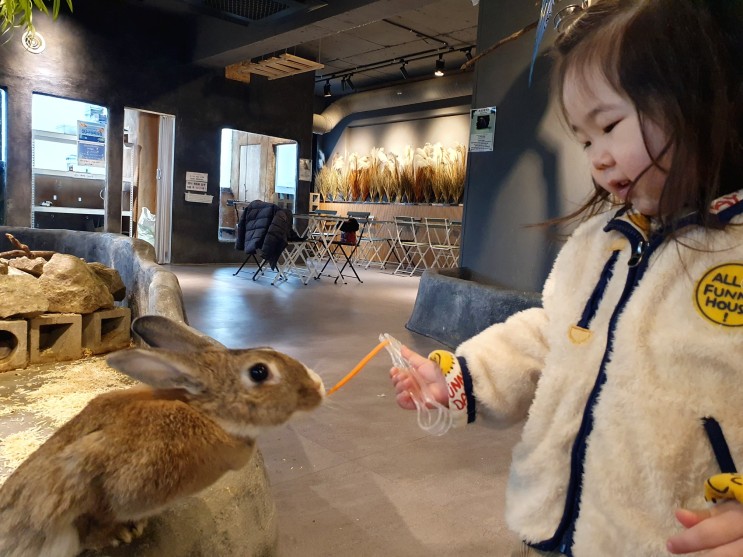 성남 키즈카페 실내동물원 아이랑 간 애니멀존 찐 후기