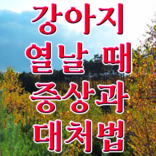  강아지 열날때 증상 대처법 핵심 공개 ?!