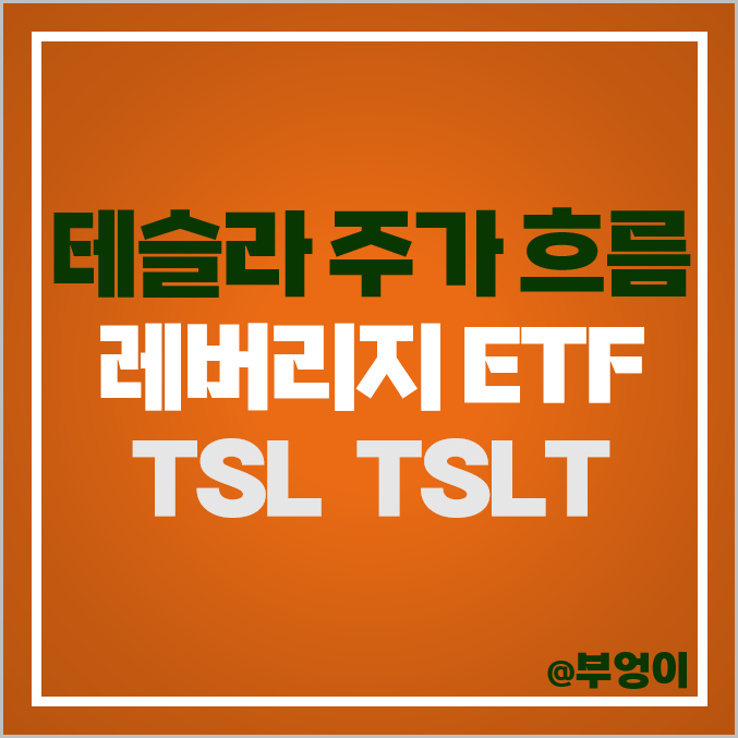 TSLA 테슬라 주식 투자 방법 레버리지 ETF TSL TSLT 주가 배당