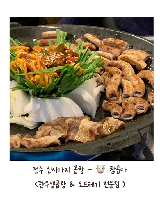 [전주 신시가지 맛집 ] 전주 효자동 부드러운 곱창 맛집 추천 <참 곱다>