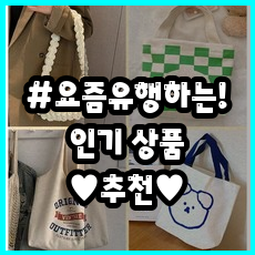 [LEE에코백] 샵즐리 봄신상 캠버스 에코백 봄가방 손가방 숄더백 고퀄리티 보조가방 찐후기