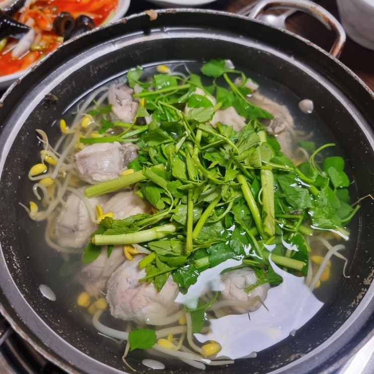  [광나루복집] 국물이 죽여주는 복지리맛집 할매복집