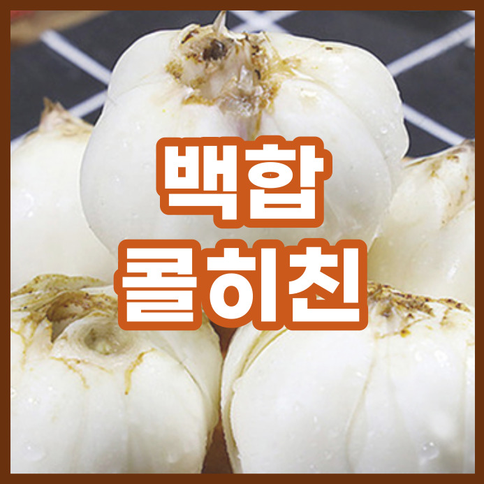  백합의 콜히친(콜킨정 성분) 독성에 대하여