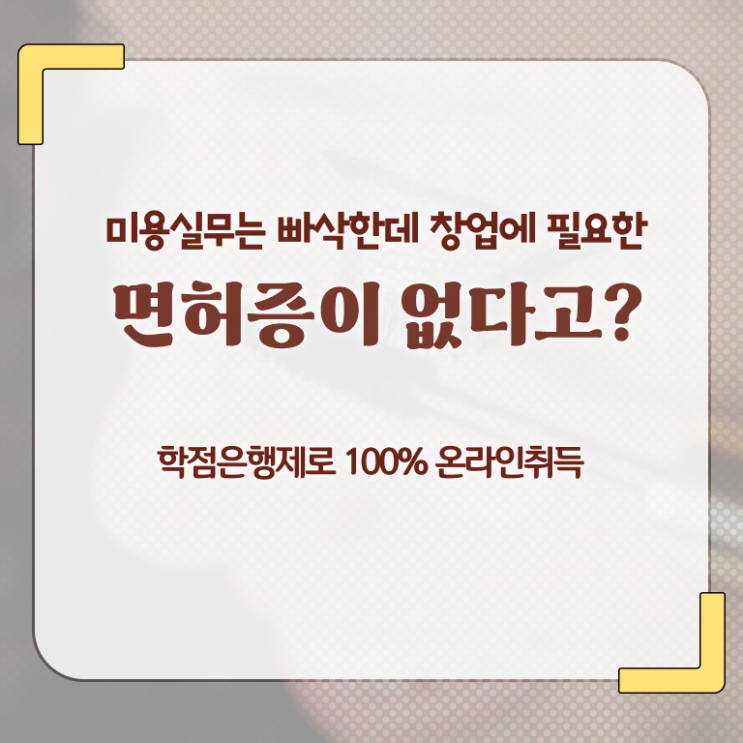  미용사자격증 발급 전망 이것만 보세요 ?
