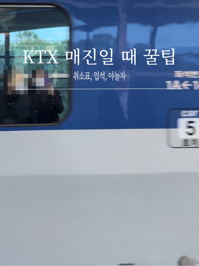 KTX 매진일 때 취소표 입석 현장 야놀자 예매 꿀팁