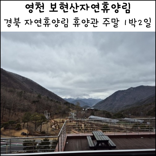 경북 여행 자연휴양림 보현산자연휴양림 주말 1박2일