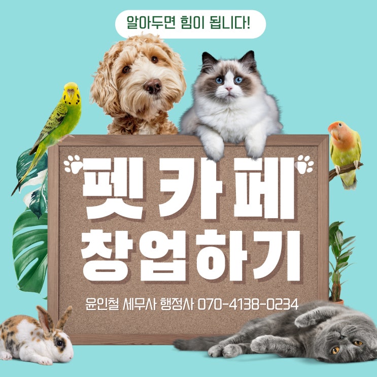  펫카페 인허가와 창업에 대해 알아봅시다.