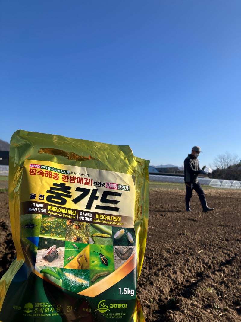 2월 텃밭 준비, 친환경 토양살충제(충가드)와 비료 살포, 땅 갈기
