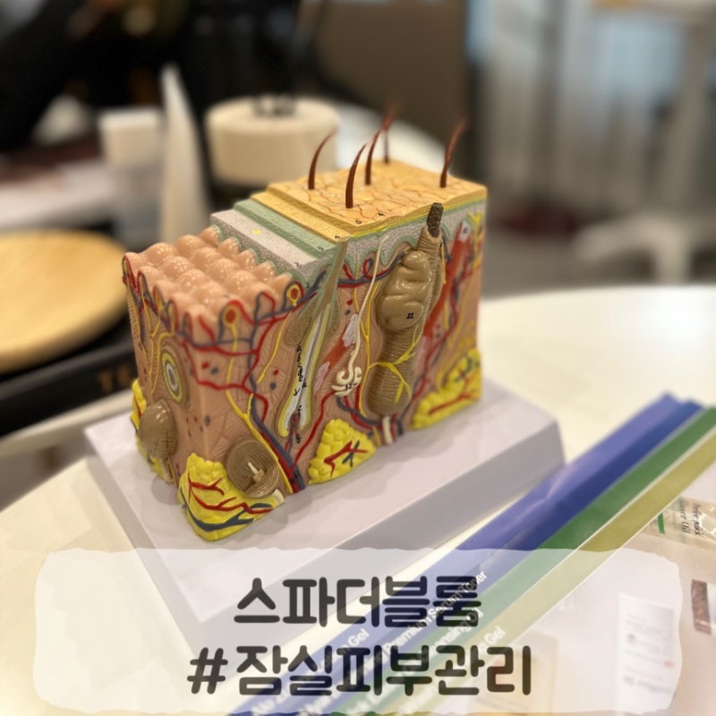 잠실스킨케어, 더트리니티스파 여름스킨케어 강력추천