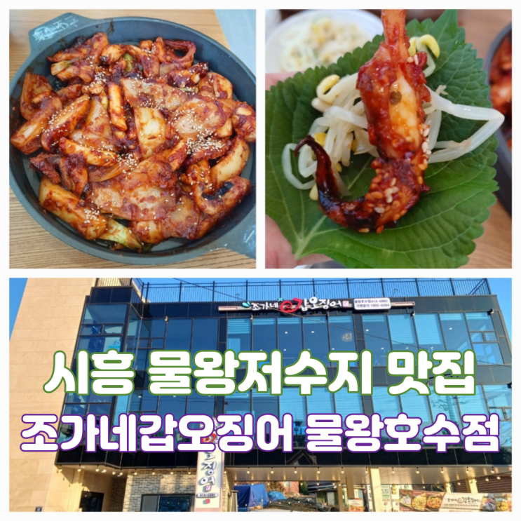 시흥 물왕저수지 맛집 먹거리촌 점심 조가네갑오징어 물왕호수점 시흥 물왕저수지 맛집 먹거리촌 점심 조가네갑오징어 물왕호수점