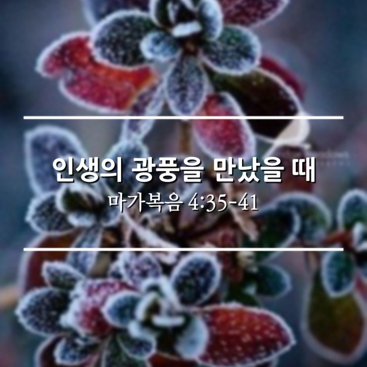  인생의 광풍을 만났을 때 / 마가복음 4:35-41