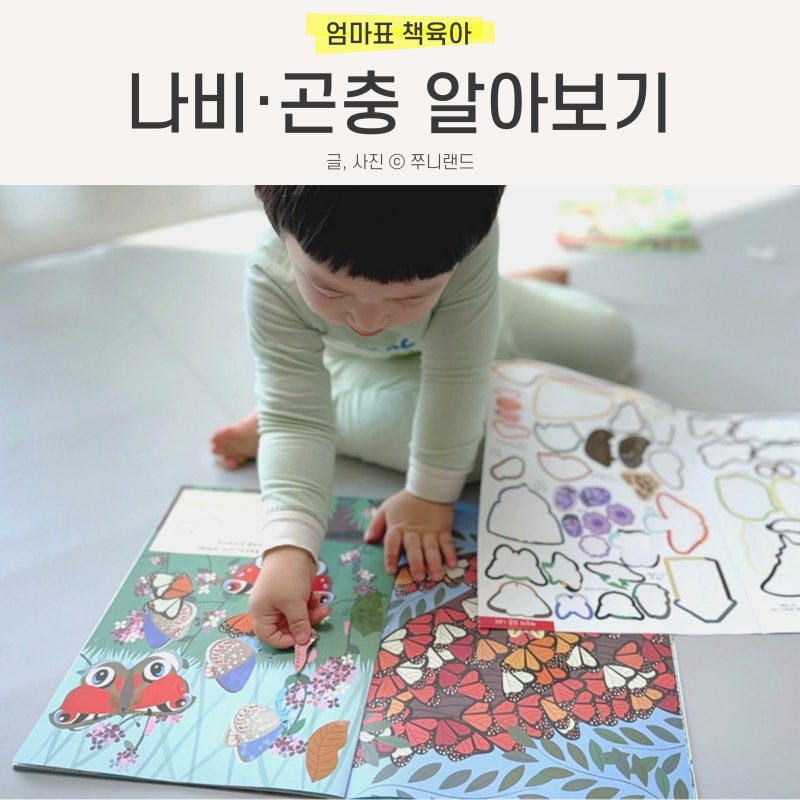 블로그 후기 사진