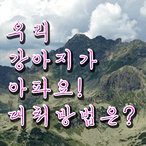  강아지열날때 처치방법 핵심 공개 .