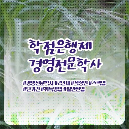  학점은행제 과목 경영학 전망 여기부터 보고가세요 ~