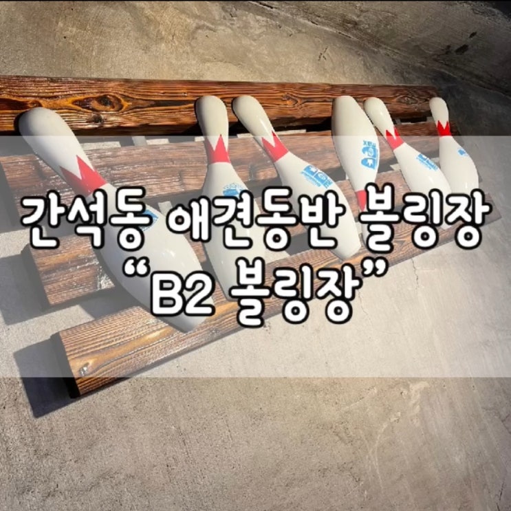  비투볼링장 / B2볼링장 / 내돈내산 / 구월동 볼링장 / 간석동 볼링장 / 애견동반 볼링장 / 인천 볼링장