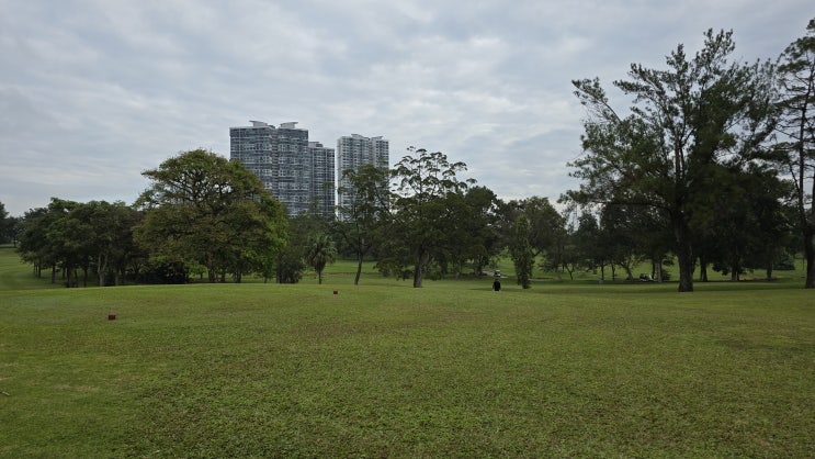  [조호바루(조호르바루)] 폰데로사CC 방문 후기 - 장단점, 주의할 점 (Ponderosa Golf & Country resort)
